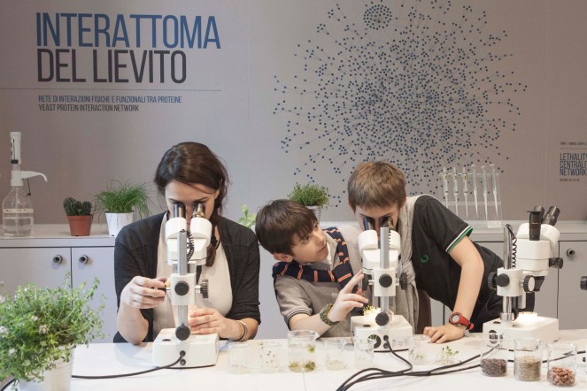 11.i.lab Genetica∏ArchivioMuseoNazionaleScienzaTecnologia_LorenzaDaverio.jpg