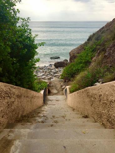 10933919_10205848820122615_7409831039403578417_n